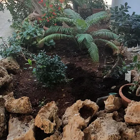 Apartmán Christothea Ayia Napa