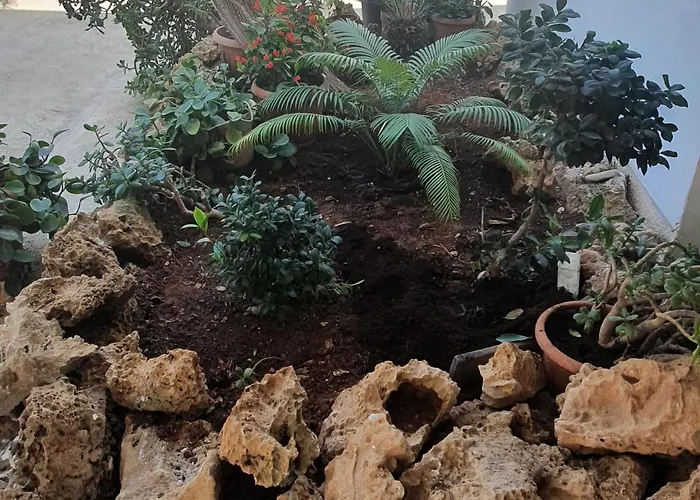 Appartamento Christothea Ayia Napa